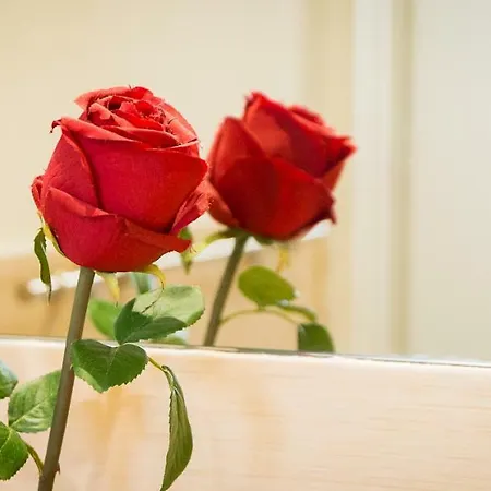 Nerva Cavour 4* רומא