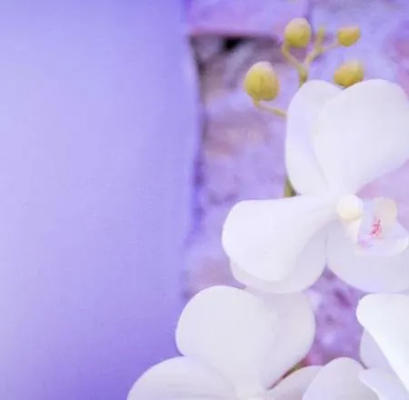 Casa de hóspedes Nerva Cavour Roma